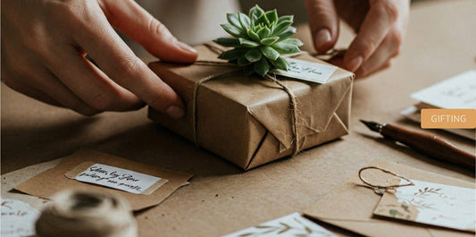 The Power of Small Gestures: Random Acts of Kindness